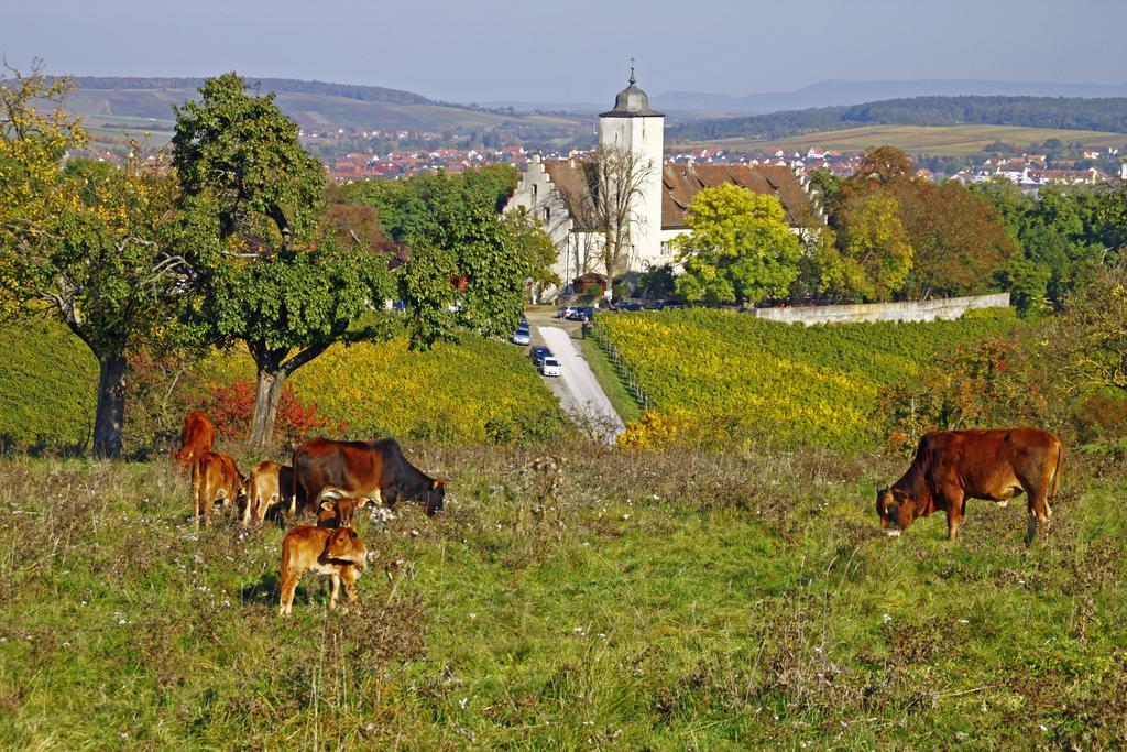 Flair-Hotel Zum Benediktiner Schwarzach am Main Eksteriør billede
